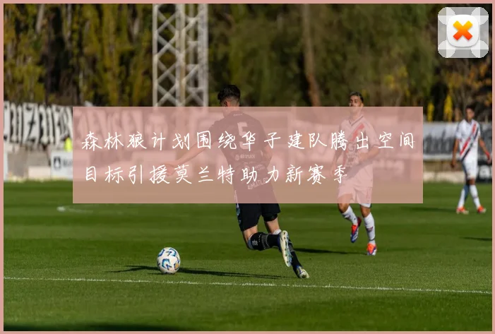 森林狼计划围绕华子建队腾出空间目标引援莫兰特助力新赛季