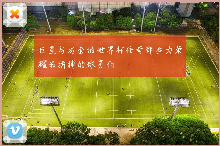 巨星与龙套的世界杯传奇那些为荣耀而拼搏的球员们