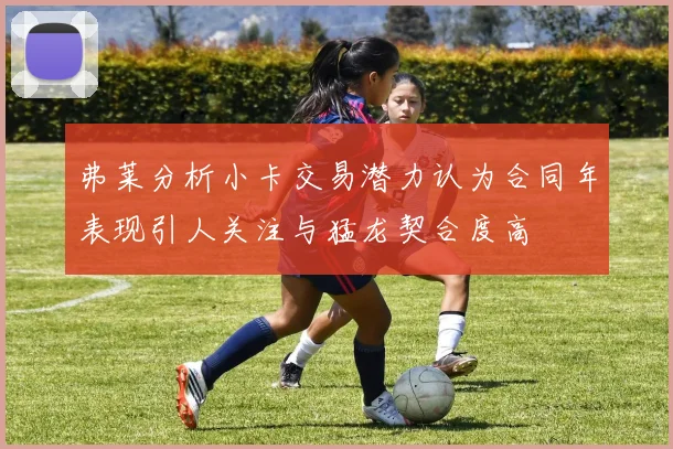 弗莱分析小卡交易潜力认为合同年表现引人关注与猛龙契合度高